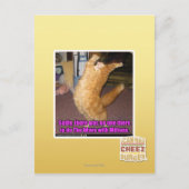 波 ポストカード (正面)