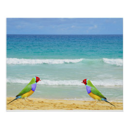 波、空とサーフオンボアビスタビーチ ポスター