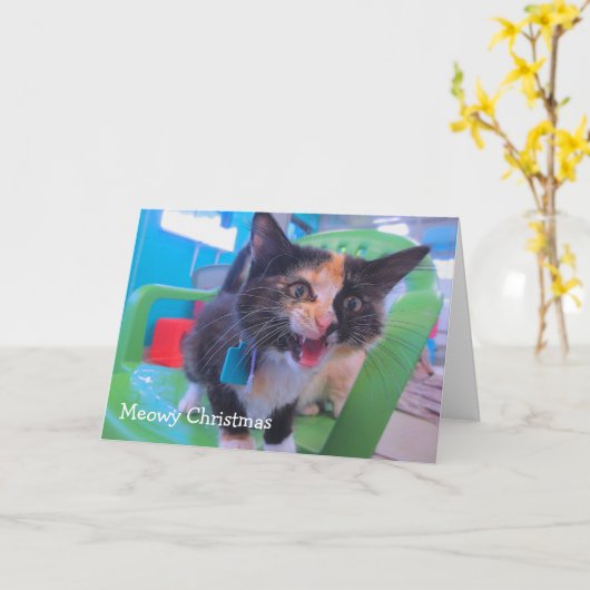 泣き叫びの子ネコ カード (黄色い花)