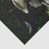 泣く天使 薄葉紙 (詳細)