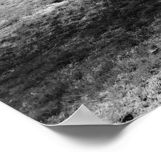 泣く木 ポスター (角)