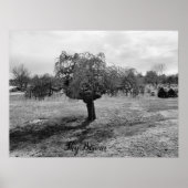 泣く木 ポスター (正面)