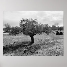 泣く木 ポスター