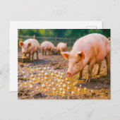 泥だらけのペンで豚の前の真珠 シーズンポストカード (正面/裏面)