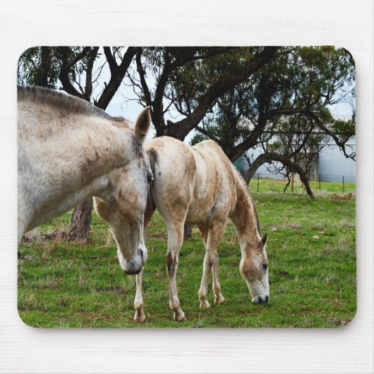 泥だらけの白馬 マウスパッド (正面)