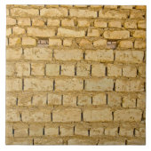 泥のレンガ壁 タイル (正面)