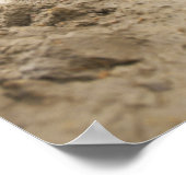 泥の中でテニスボールを見ている汚い犬 ポスター (角)