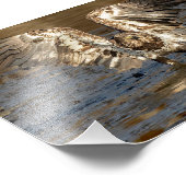 泥の中に立っている未熟なワシ フォトプリント            (角)