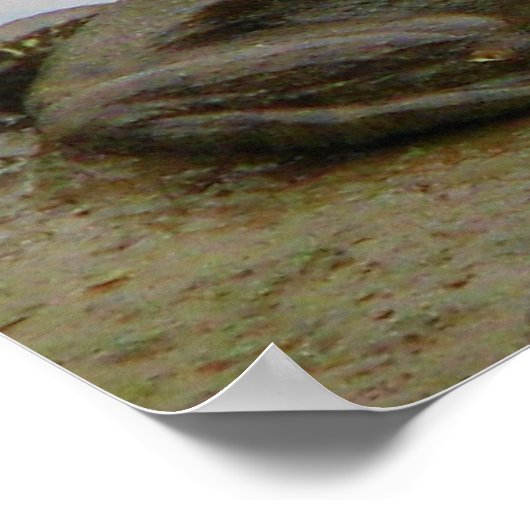 泥の中のカエル ポスター (角)