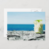 泥の中のリンゴの芯 ポストカード (正面/裏面)