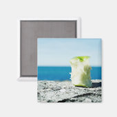 泥の中のリンゴの芯 マグネット (正面/裏面)