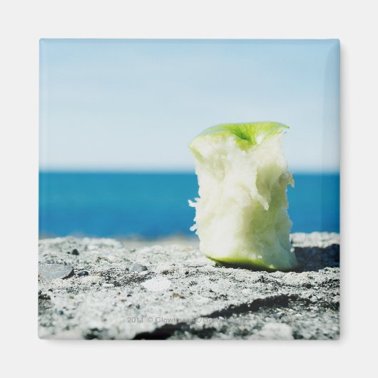 泥の中のリンゴの芯 マグネット (正面)