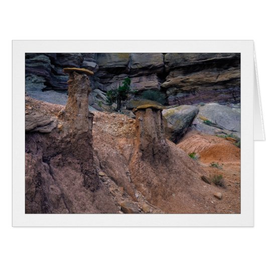 「泥の帽子」 (正面横)