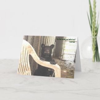 泥のKapalua -挨拶状 カード