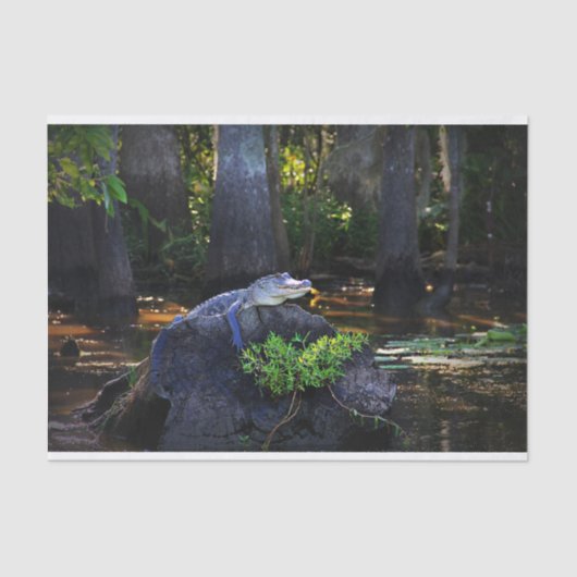 泥地のわに 薄葉紙 (正面)