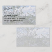 泥地区域のMelaleuca 名刺 (正面/裏面)