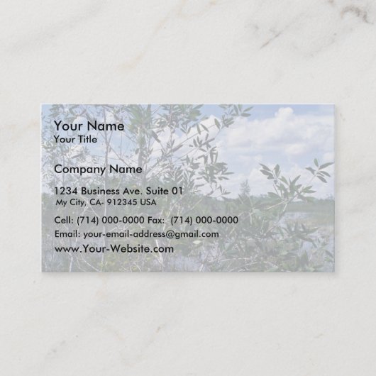 泥地区域のMelaleuca 名刺 (正面)