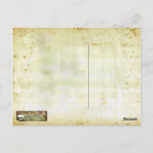 泥地水 ポストカード (裏面)