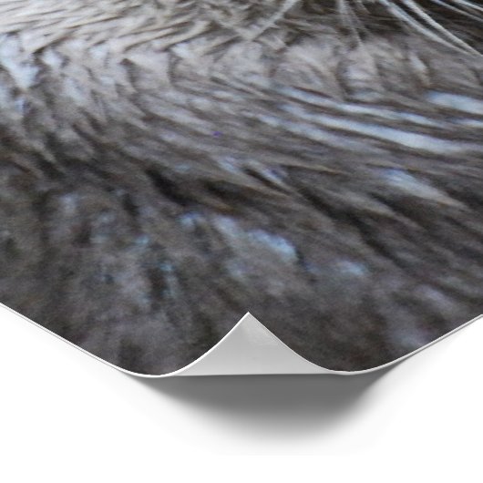 泥水 ポスター (角)