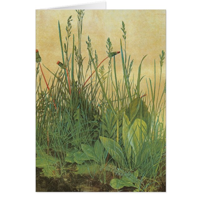 泥炭の大きい部分 (正面)