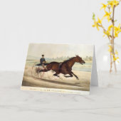 泥炭の王、「St. Julien カード (黄色い花)