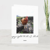 泥炭の鶏、アイルランド カード (裏面)