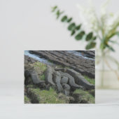 泥炭採取 ポストカード (スタンド正面)