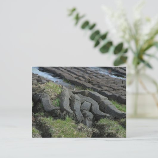 泥炭採取 ポストカード (スタンド正面)