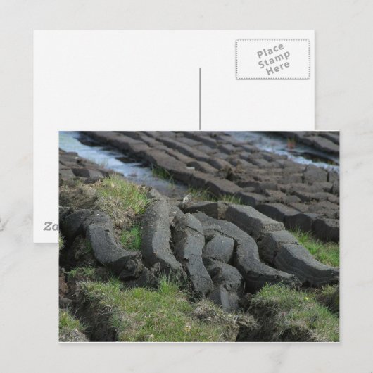 泥炭採取 ポストカード (正面/裏面)