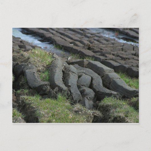 泥炭採取 ポストカード (正面)