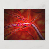 注射される医学の顕微鏡的見解 ポストカード (正面)