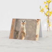 注意の挨拶状のMeerkat カード (黄色い花)
