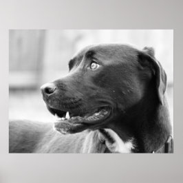 注意を払う ポスター