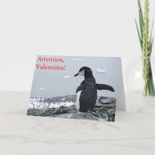 注意バレンタイン！ シーズンカード (正面)