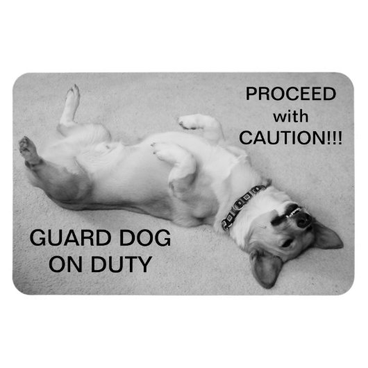 注意マグネットで進む マグネット (横)