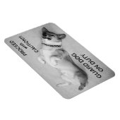 注意マグネットで進む マグネット (右側)