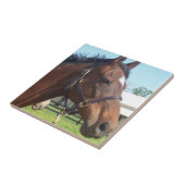 注意深いアラビアの馬のタイル タイル (側面)