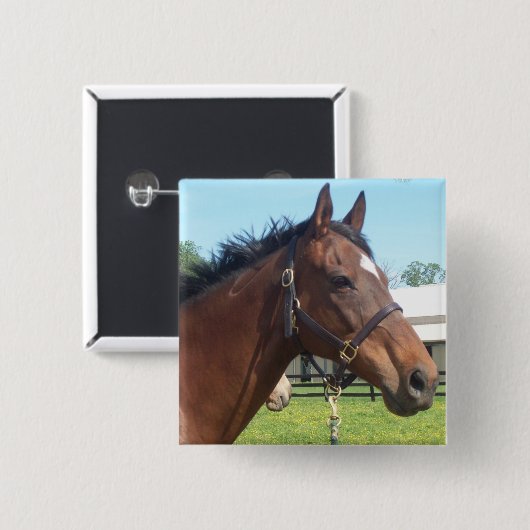 注意深いアラビアの馬Pin 缶バッジ (正面&裏面)