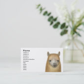 注意深いアルパカの名刺 名刺 (スタンド正面)