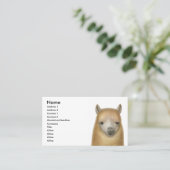 注意深いアルパカの名刺 名刺 (スタンド正面)