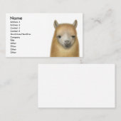 注意深いアルパカの名刺 名刺 (正面/裏面)