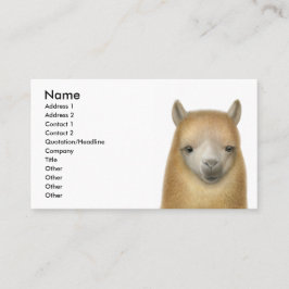 注意深いアルパカの名刺 名刺