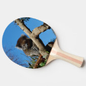 注意深いコアラ・ベア 卓球ラケット (横)