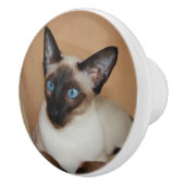 注意深いシャム猫 セラミックノブ (右)