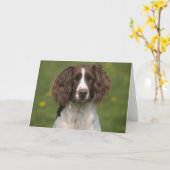 注意深いスプリンガー カード (黄色い花)