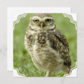 注意深いフクロウの招待状 招待状 (正面/裏面)