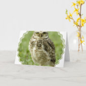注意深いフクロウの挨拶状 カード (黄色い花)