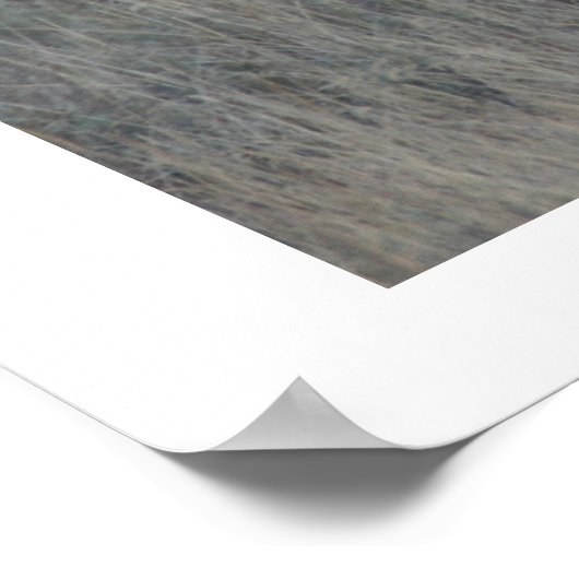 注意深いムース ポスター (角)