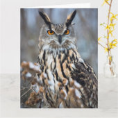 注意深いワシミミズク カード (黄色い花)