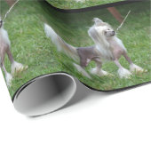 注意深い中国語によって頂点に達される犬 ラッピングペーパー (ロールコーナー)